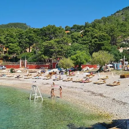 Moli Onte